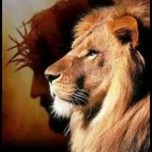 Meet your Posher, Porto